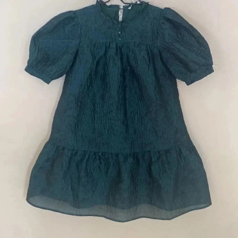 Moon River Ruffled Neck Puff Sleeve Mini Jacquard Dress - Picture 5 of 13